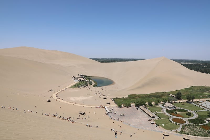 Urban Oasis Creation